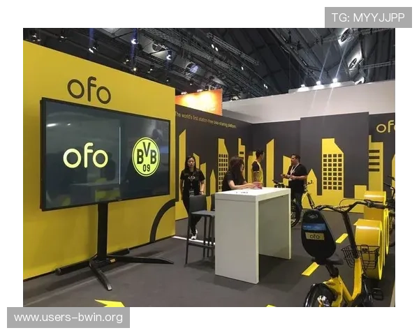 德赢与AC米兰区域官方合作伙伴合作案例详解及其在体育营销中的创新实践