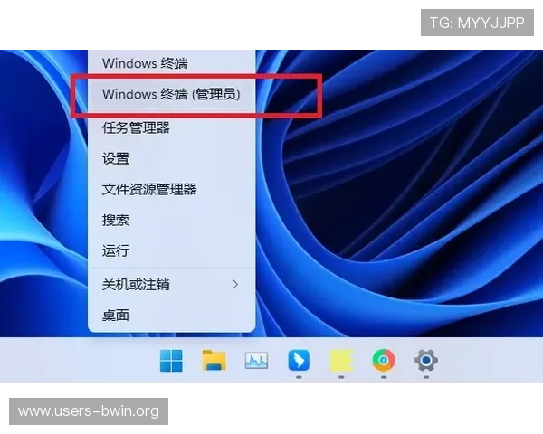 全面解析u赢体育登录线路稳定性提升技巧与常见问题解决方案
